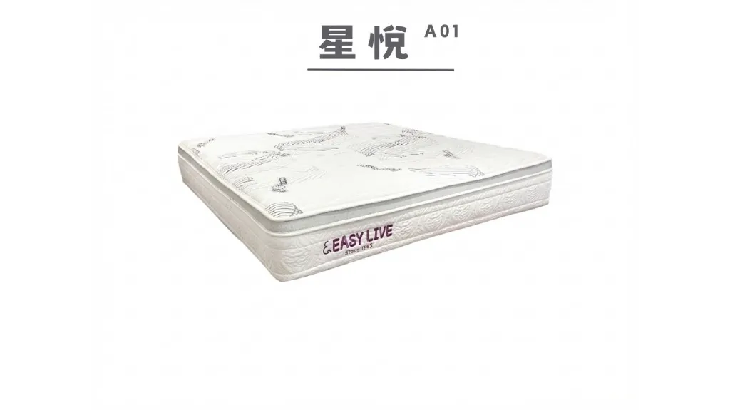 星悅 A01 -1.webp