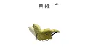 5.webp