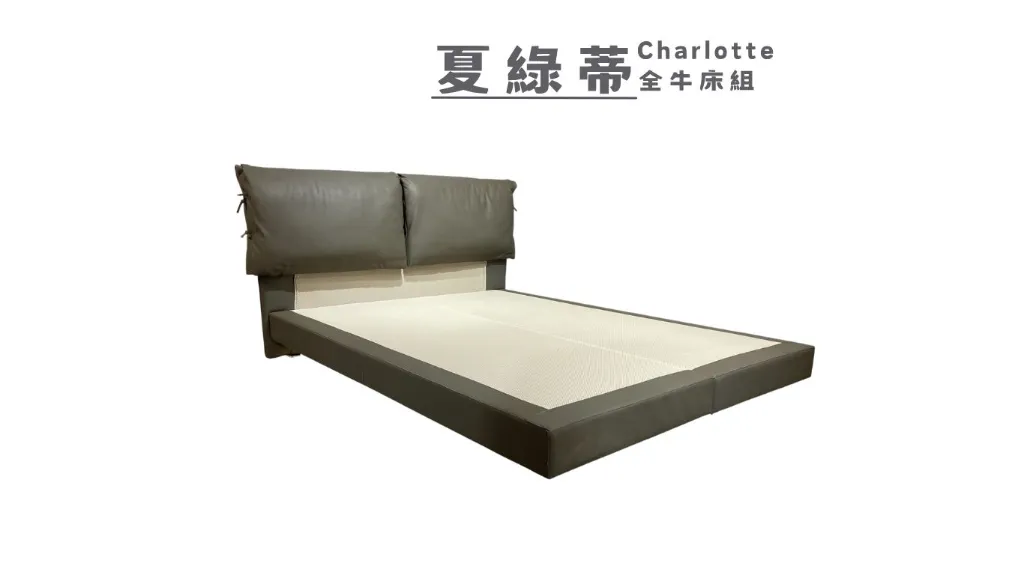 夏綠蒂 Charlotte -全牛柔皮夜光床組